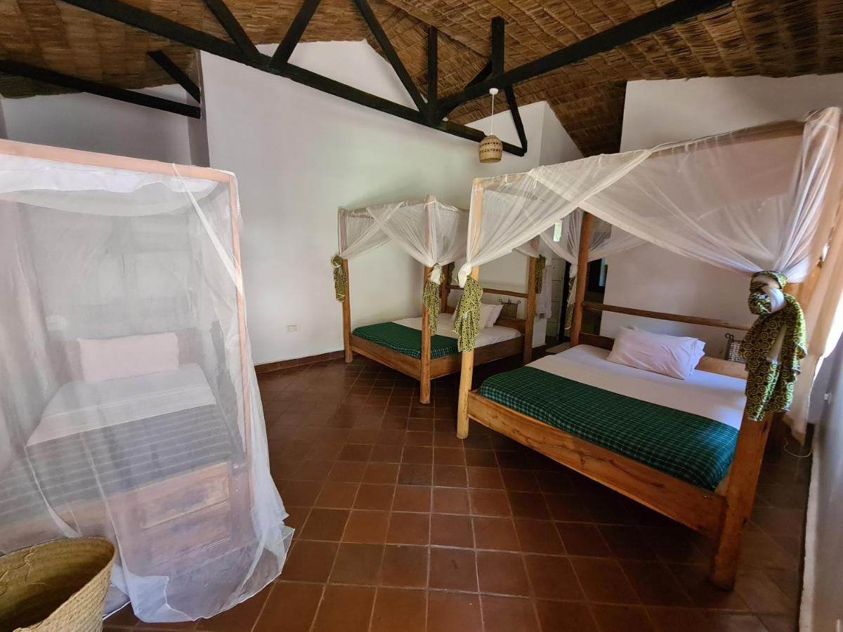 Honey Badger Lodge Moshi Exteriér fotografie