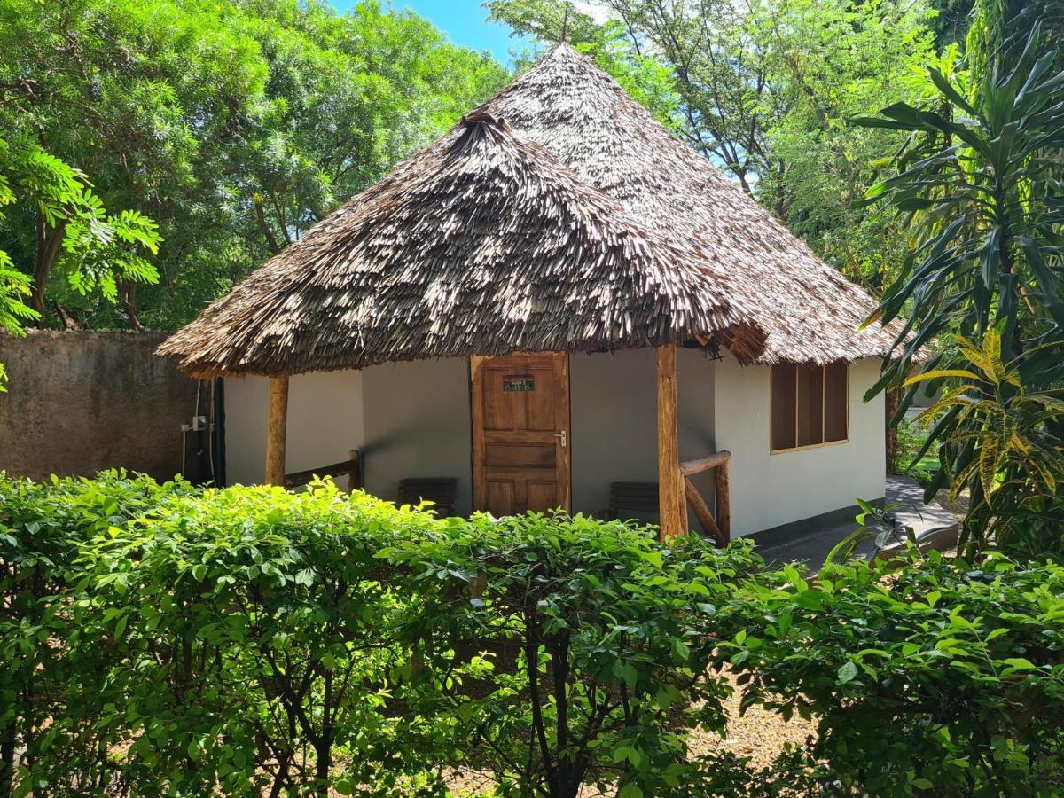 Honey Badger Lodge Moshi Exteriér fotografie
